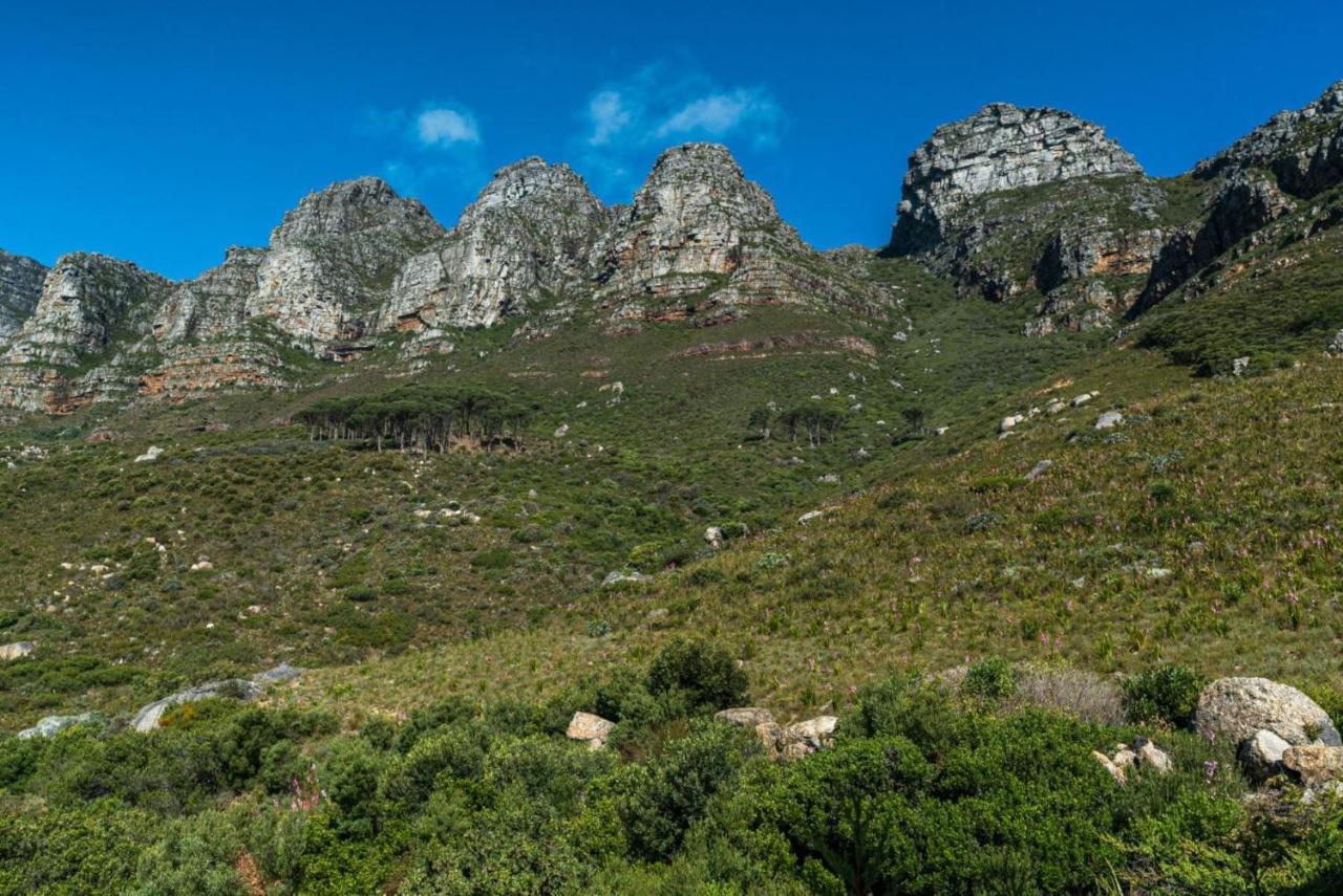 Auberge Cape Guesthouse Cape Town Bagian luar foto